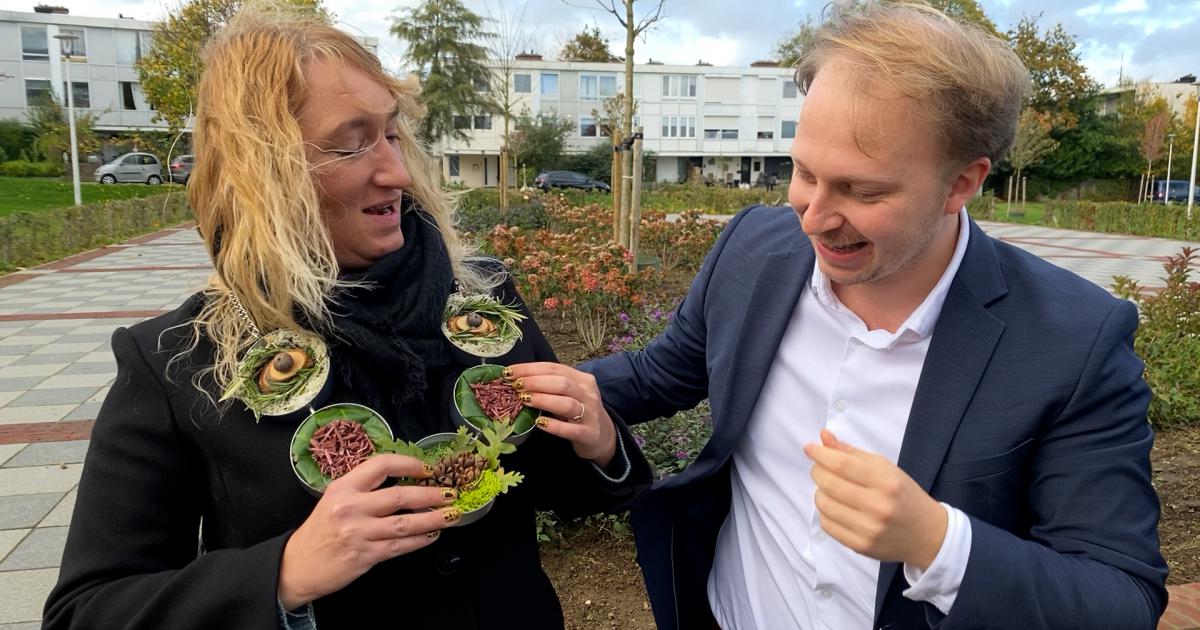 TopHomer Draadloze Onderkast LED Verlichting met Afstandsbediening