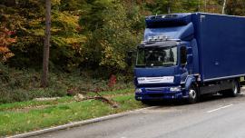 Vrachwagen botst tegen omgewaaide boom N274