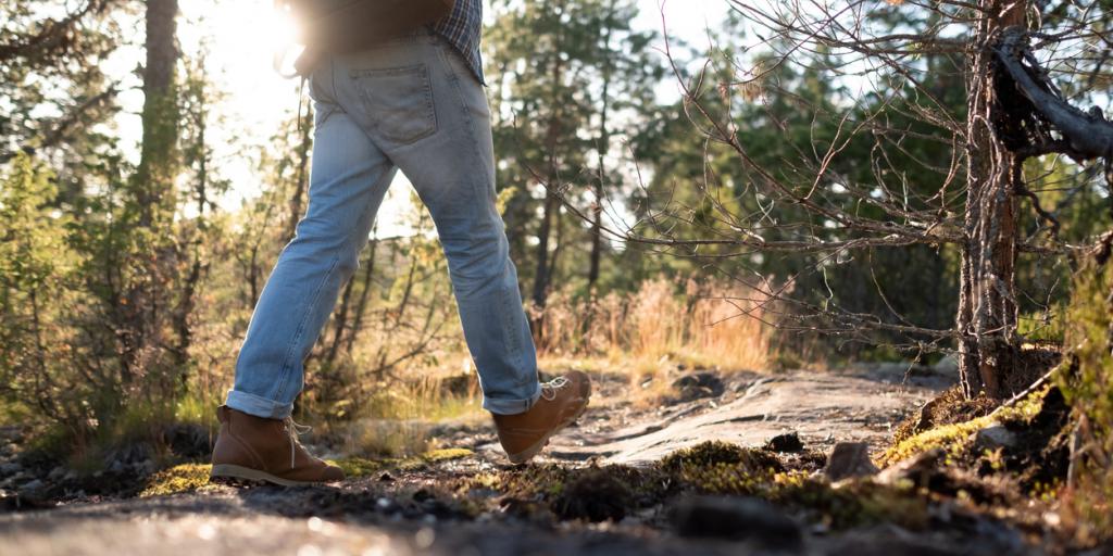 Stiltewandeling over de Brunssummerheide