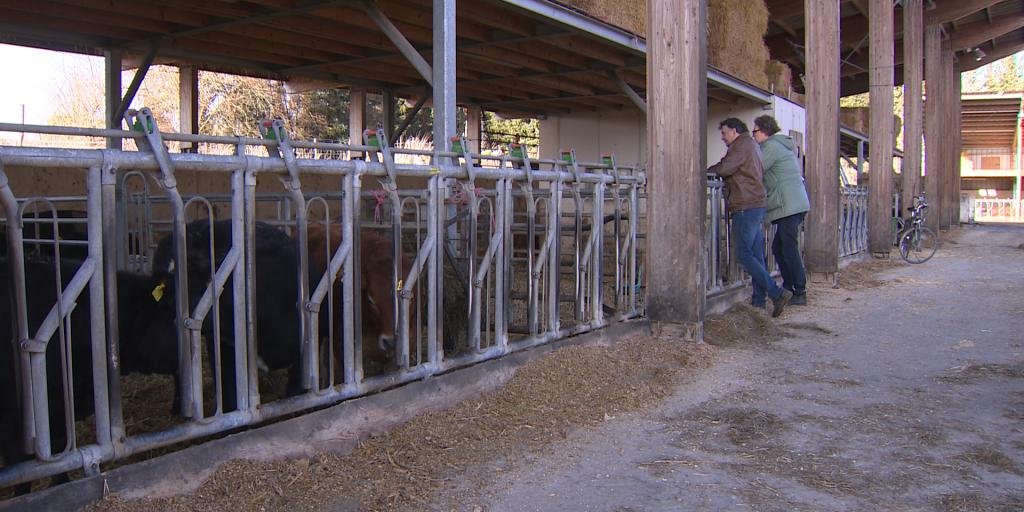 VIDEO: Documentaire boer Jos volgende week via internet in première