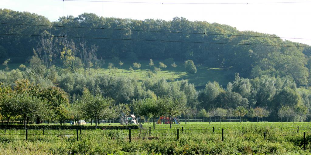 Onderhoud aan Stammenderbos in Sweikhuizen