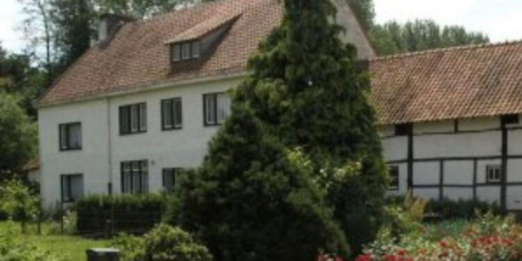 Subsidie voor restauratie Brommelermolen