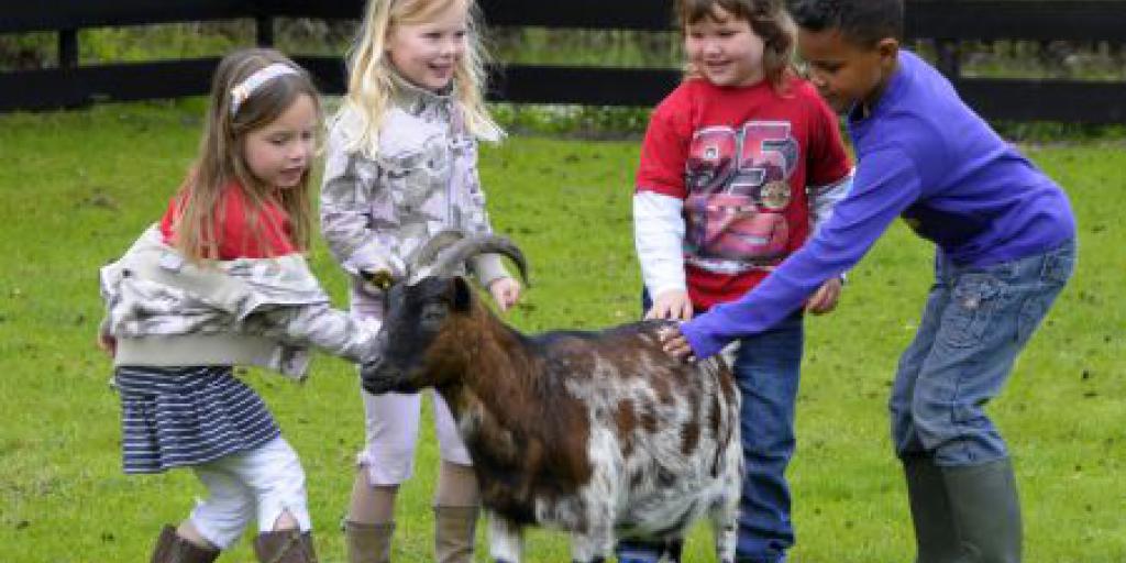 Gemeente wil gesprek over toekomst kinderboerderij Schutterspark