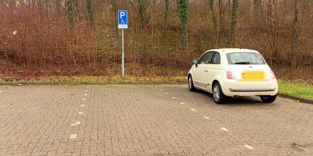 VIDEO: Crowdfunding moet Novée aan nieuwe rolstoelbus helpen