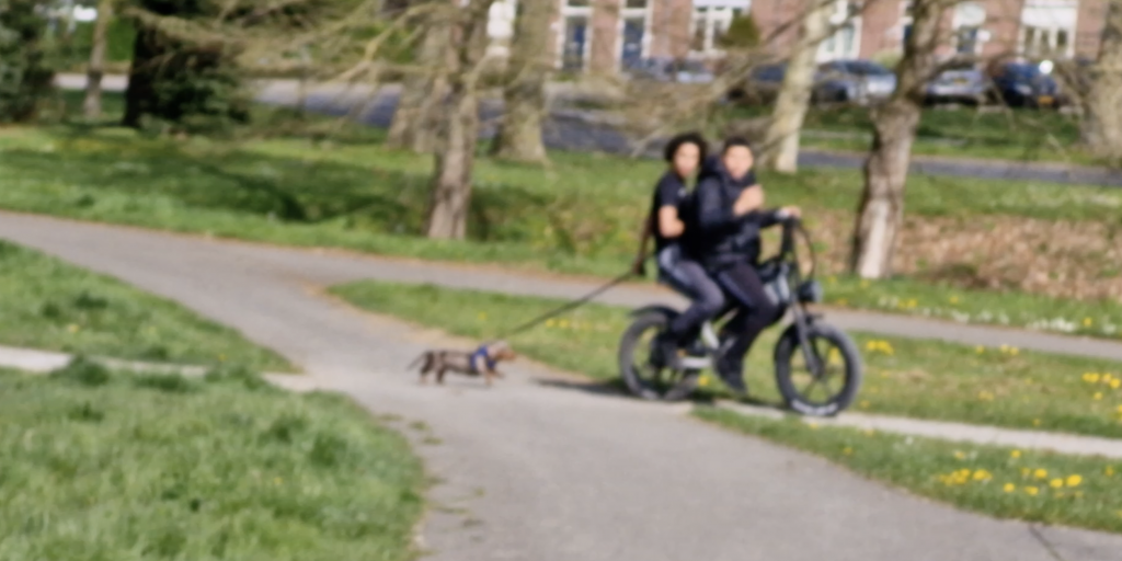 Politie zoekt jongeren die hond achter fatbike door Emmapark sleepten